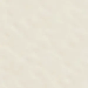 Camiille Flat Safety Shoes