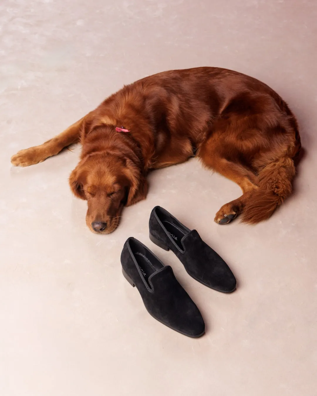 Chava Black Suede Haddock Loafers