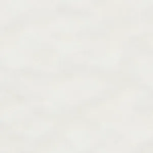 Circus Flat Shoes Daena