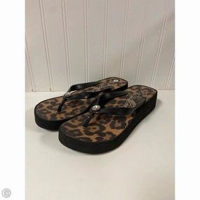 Sandals Flip Flops By Brighton In Animal Print, Size: 9 Rubber Flip Flops