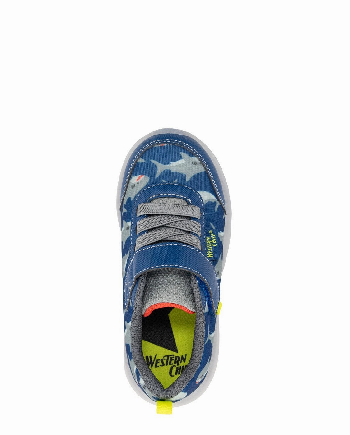 Kids Lighted Flash Feet Shark Sneaker - Blue Apb Sneakers