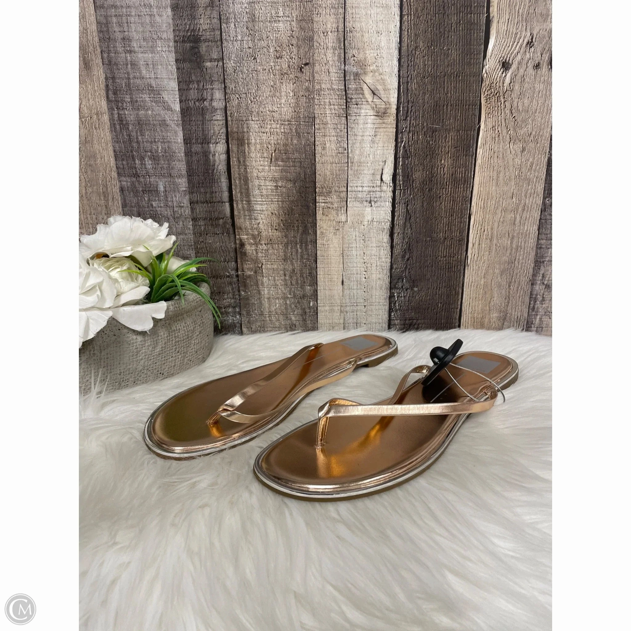 Sandals Flip Flops By Dolce Vita In Gold, Size: 9.5 Floaties Flip Flops