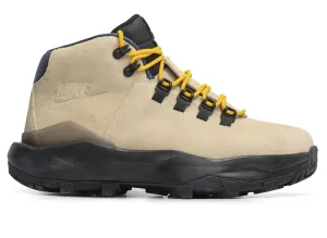 Stephen Curry Nike Shoes Nike Cygnal