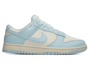 Nike Dunk Low Retro Fleet Feet Nike Shoes