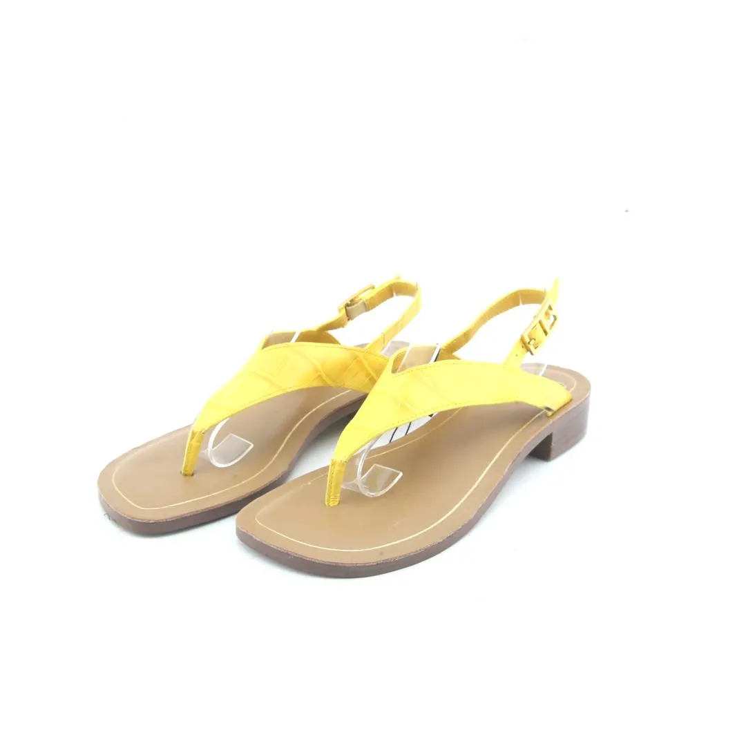 Heel Pain From SARTO. IRIS