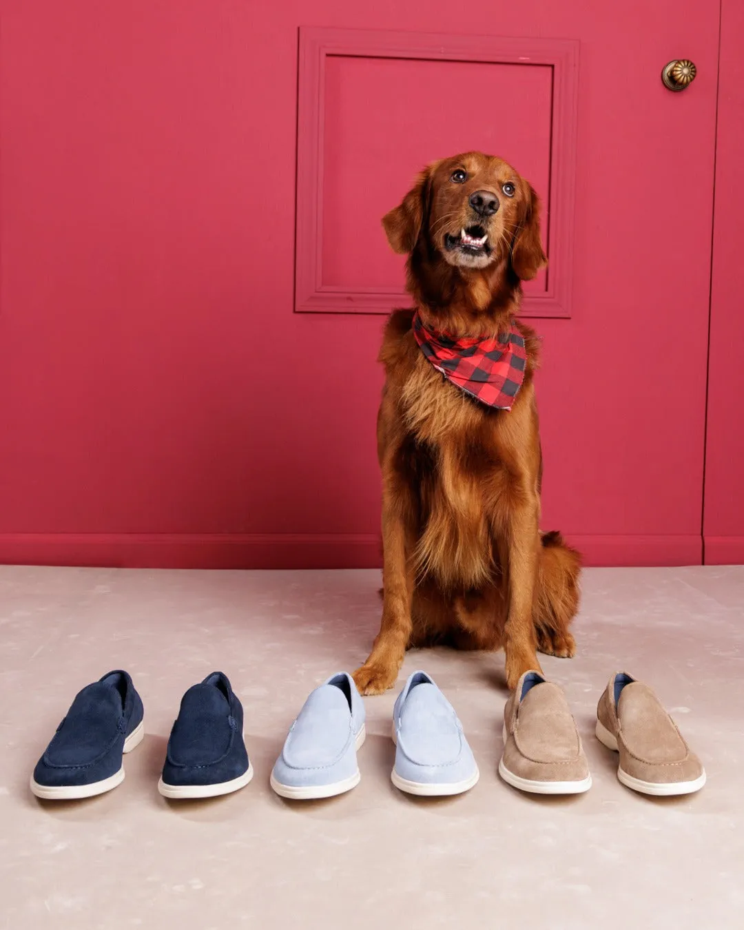 Viserys Navy Suede Loafers For Bunions