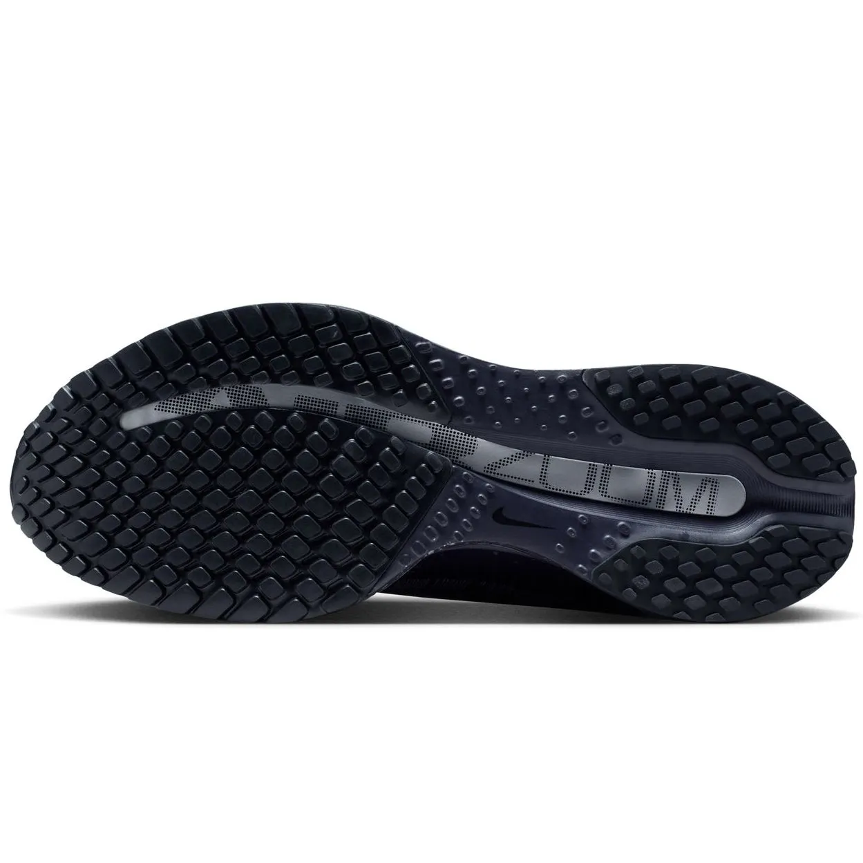 The First Nike Shoe Women's Pegasus Premium Running Shoes Cave Purple / Metallic Silver / Black